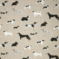 145414-0001 Fetch Bone